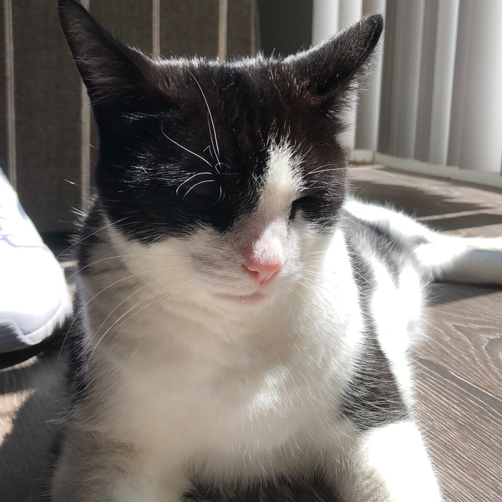 Meet your Posher, Marci